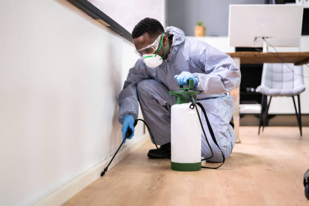 Best Pest Prevention Services  in Pinehurst, TX